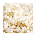 Quality short grain rice For Every Budget All Varieties