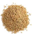 Short Grain Rice | White Rice |Exporter from India