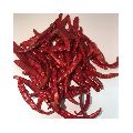 Teja Stemless Red Chilli - Wholesaler &amp;amp; Wholesale Dealers in India