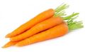 Fresh Carrot