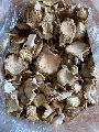 Light Brown Dried Oyster Mushroom