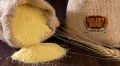 Common Natural Organic Powder Golden Bansi Semolina Flour
