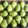 Organic Green Fresh Pears
