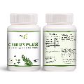 CURRYPLUS &amp;ndash; 500 mg Herbal Food Supplement for General Health