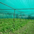 Green plastic agro shade net