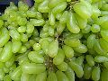 fresh green grapes