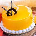 Square Round Rectangular mango cake