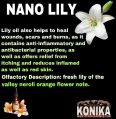 Nano Lily