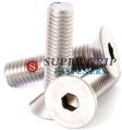 Stainless Steel Allen Bolts