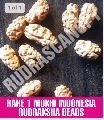 1 Mukhi Indonesia Rudraksha Bead