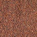 Brown  Mustard Seeds