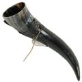 Buffalo Drinking Horn with Stand