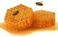 Desi Bee Honey