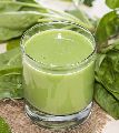 Spinach Juice Concentrate