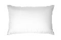 20x36 Inch Conjugate Fibre Pillow