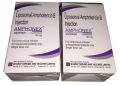 Liposomal Amphotericin B Injection, Packaging Type: Vial, Amphonex