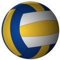 470-500 g Round Vector X Synthetic Rubber Volley Ball