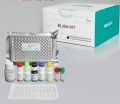 Vitamin D Biodetect Elisa Kit