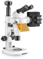 Radicon-Trinocular Fluorescence Stereo Zoom Microscope (Premium- 9000 RFT Zoom)