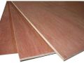 Hardwood Brown commercial plywood