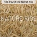 Hard Soft 1509 brown sella basmati rice
