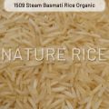 Pesticides Free Organic 1509 Steam White Basmati Rice