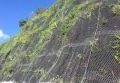 Rockfall Netting