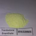 Buy Raw Trenbolone Enanthate Powder
