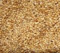 Organic Yellow Foxtail Millet Seed