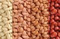 Organic Brownish Creamy Light Red Natural peanut kernels