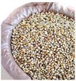Natural Green Fine Processed pearl millet