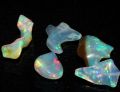 T75 Polished Opal Stones