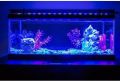 LED Aquarium Light