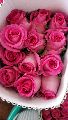 Fresh Cut Roses Fresh Pink Rose