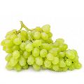 fresh grapes