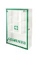 Plastic Rectangular Green White Polished transparent first aid box