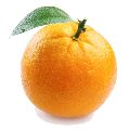 Fresh Kinnow Orange