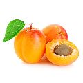 Organic Pale Yellow Fresh Apricot