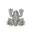 Sterling Silver Diamond Frog Brooch With Ruby Eyes