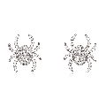 Sterling Silver Diamond Spider Studs