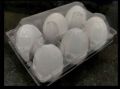 Transparent Plain S V Group India plastic egg tray
