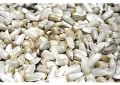 White Safflower Seeds