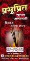 Prabhupreet Rose Incense Sticks