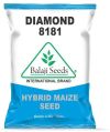Diamond BS-8181 F1 Corn Seeds
