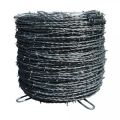 2 Point GI Barbed Wire