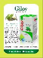 Giloy capsules