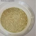 Polishing Synthetic Diamond Powder