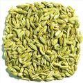 Raw Fennel Seeds