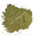 Roshan Herbals Gurmar Buti Powder