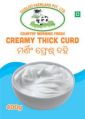 Country Morning fresh thick curd